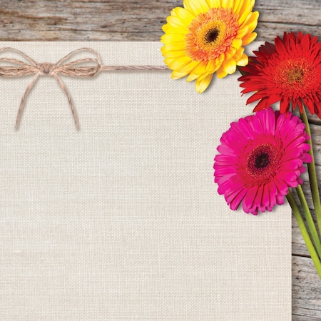 Stationery Letterhead, Three Gerbe, PK80 MPN:2019078