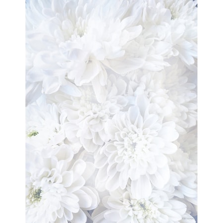 Stationery Letterhead, White Soft, PK80 MPN:2020144