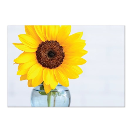 Note Card and Envelopes, Brighter, PK50 MPN:2020151