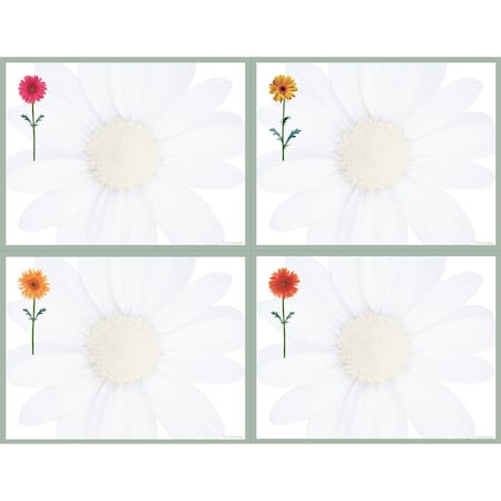 Postcards, Daisies, 4.25