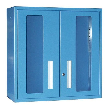 Clear Wall Mounted Cabinet, 36
