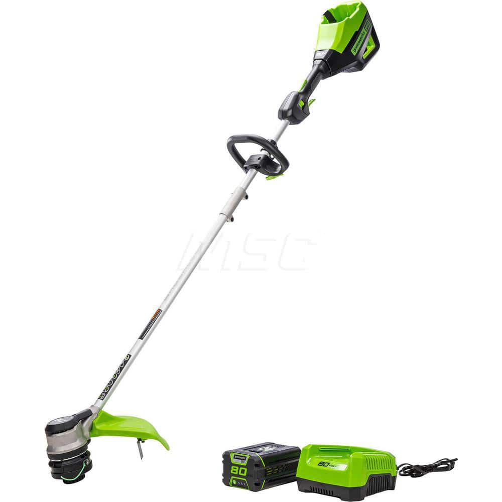 Example of GoVets Greenworks brand