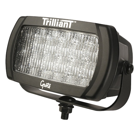 Trapezoid Light, 2050 lm, Rectangular, LED MPN:63591