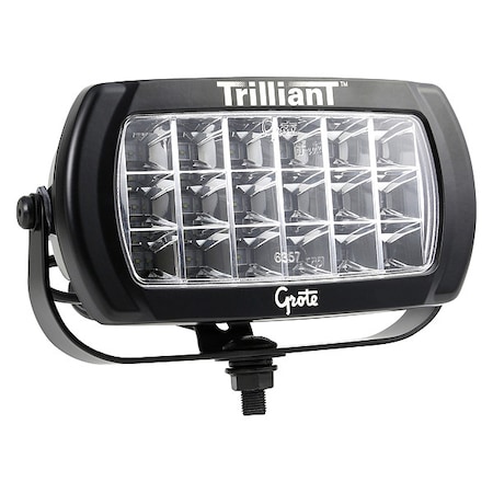 Trilliant Bi-Votage Flood MPN:63N31