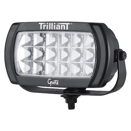 Trilliant Bi-Votage Flood MPN:63N41