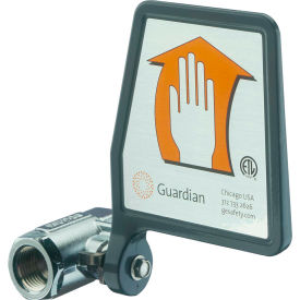 Guardian Equipment AP600-101H IPS Ball Valve Flag Handle Horizontal Mount 1/2 Replacement AP600-101H