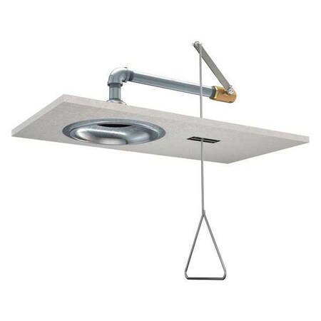 Concealed Emergency Shower MPN:G1629