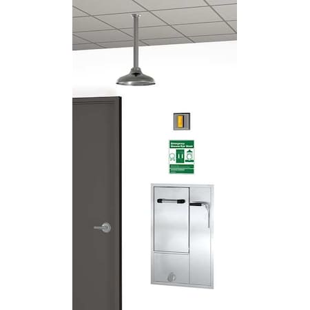 Drench Shower With Face/Eyewash, Silver MPN:GBF2152