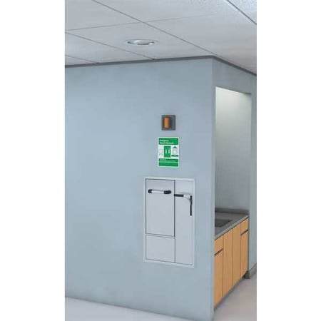 Shower with Eyewash, Ceiling (Shower), Wall (Eyewash) Mount, Stainless Steel Pipe, 33 in H, Silver MPN:GBF2160
