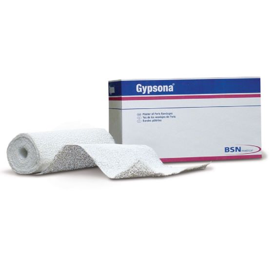 Example of GoVets Gypsona category