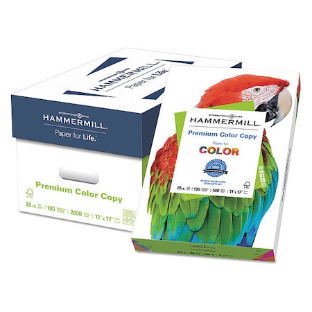Multipurpose Paper, 11