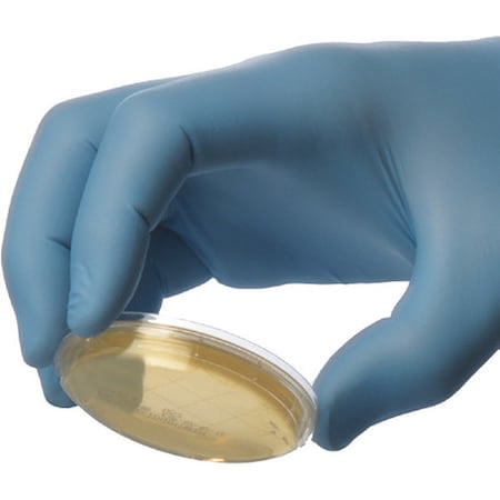 Sabouraud Dextrose Sabdex Agar, 1, PK10 MPN:P36