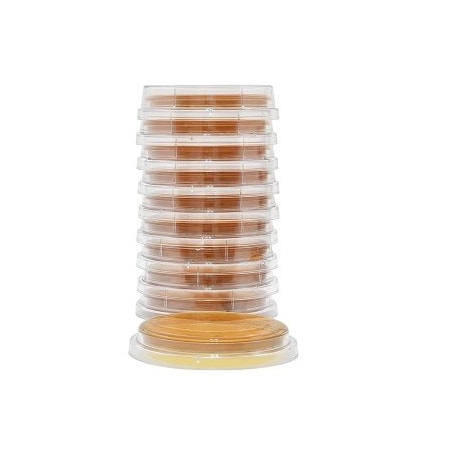 Malt Extract Agar, Lecithin and Twe, PK 10 MPN:P93