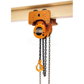 Low Headroom Trolley/Hoist 5 Ton 10' Lift NTH050-10