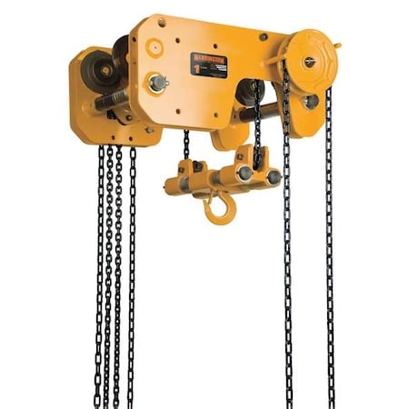 Hoist/Trolley, ANSI/ASME B30.16 MPN:SHB100-20