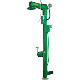 Haws® AXION® MSR 8317CTFP 120 VAC Freeze-Resistant Combo Shower and Eye Wash Station 8317CTFP