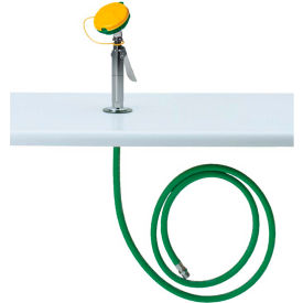 Haws® AXION® MSR 8904 Counter-Mount Eyewash Station Drench Hose 8904