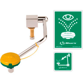 Haws® 7610 Barrier-Free Single Action Swing-Down Eye/Face Wash Mounted On Rear Of Sink 7610