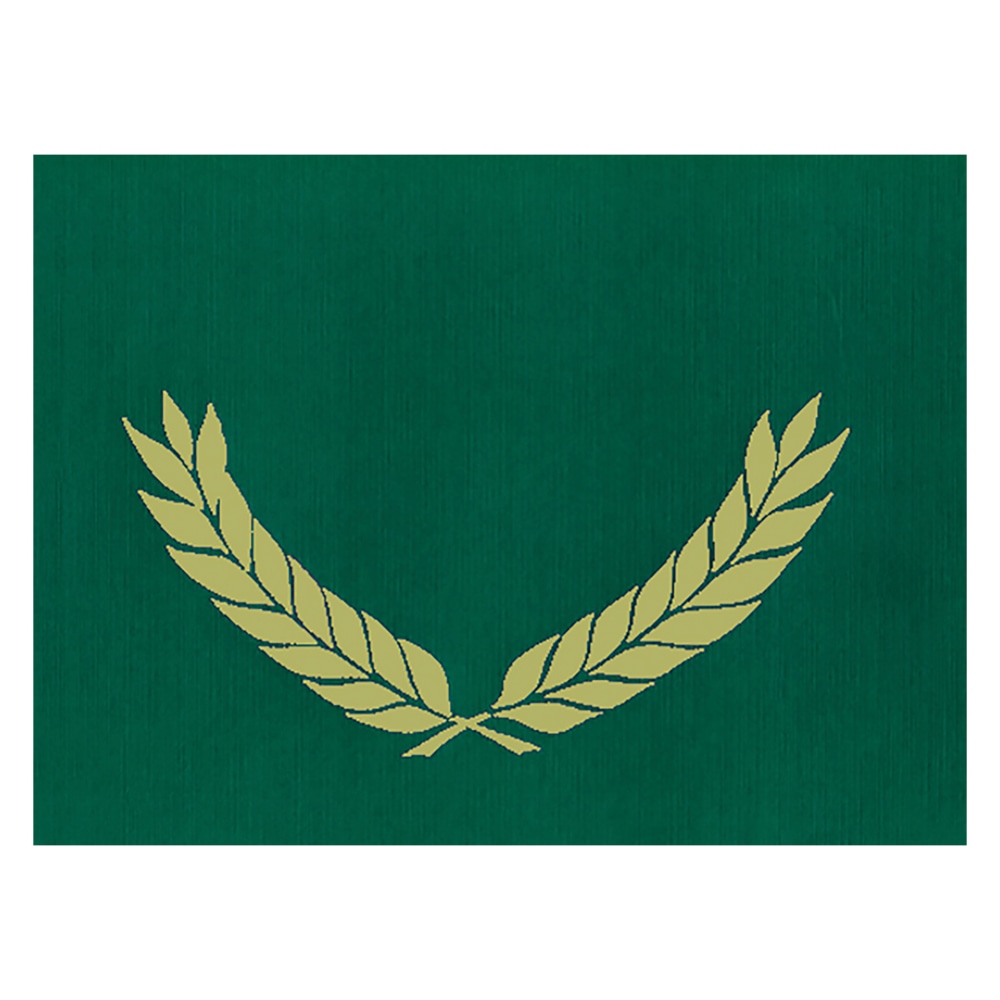 Hayes Publishing Gold Foil Stamped Green Certificate Folders, 10in x 13in, Pack Of 30 MPN:H-VA341