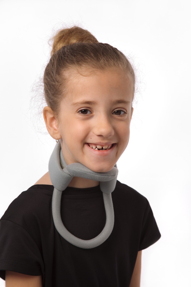 Example of GoVets Headmaster category