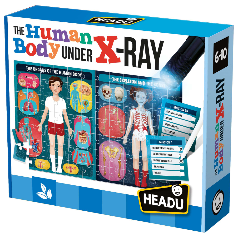 Headu The Human Body Under X-Ray MPN:HDUEN22762