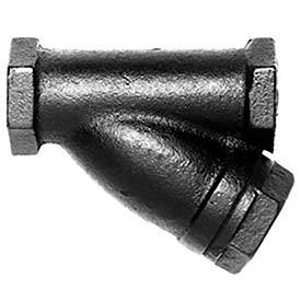 Hoffman Specialty® 415C Y-Strainer 405015 2