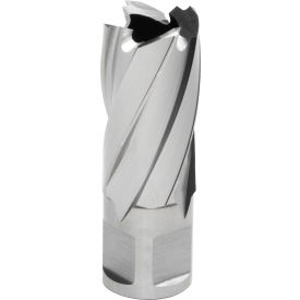 Hougen® 12000-Series Annular Cutter 13/16