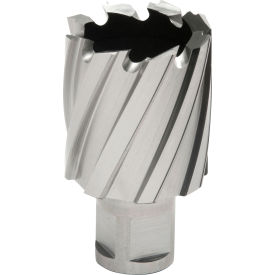 Hougen® 12000-Series Annular Cutter 1-3/8