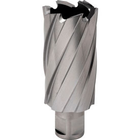 Hougen® 12000-Series Annular Cutter 1-5/16