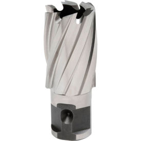 Hougen® 12000-Series Annular Cutter 24mm Dia. x 25mm Depth of Cut 12324