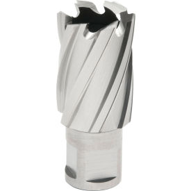 Hougen® 12000-Series Annular Cutter 27mm Dia. x 25mm Depth of Cut 12327