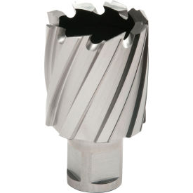 Hougen® 12000-Series Annular Cutter 32mm Dia. x 25mm Depth of Cut 12332