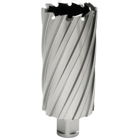 Hougen® 12000-Series Annular Cutter 43mm Dia. x 76mm Depth of Cut 12543