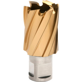 Hougen® 12000-Series TiN Annular Cutter 1-1/8