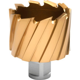 Hougen® 12000-Series TiN Annular Cutter 1-15/16