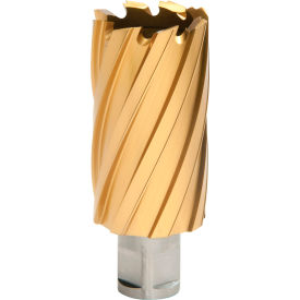 Hougen® 12000-Series TiN Annular Cutter 1-5/16