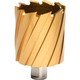 Hougen® 12000-Series TiN Annular Cutter 2-5/16