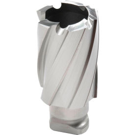 Hougen® RotaLoc Plus™ Annular Cutter 15/16