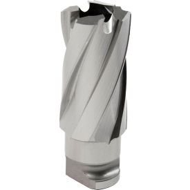 Hougen® RotaLoc Plus™ Annular Cutter 19mm Dia. x 25mm Depth of Cut 17914