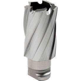 Hougen® RotaLoc Plus™ Annular Cutter 22mm Dia. x 25mm Depth of Cut 17920