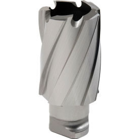 Hougen® RotaLoc Plus™ Annular Cutter 24mm Dia. x 25mm Depth of Cut 17924