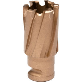 Hougen® RotaLoc™ Carbide Annular Cutter 13/16
