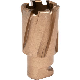 Hougen® RotaLoc™ Carbide Annular Cutter 7/8
