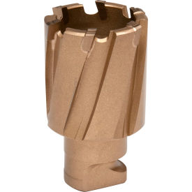 Hougen® RotaLoc™ Carbide Annular Cutter 1