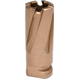 Hougen® RotaLoc™ Carbide Annular Cutter 17mm Dia. x 19mm Depth of Cut 18-17310