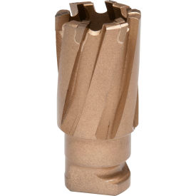 Hougen® RotaLoc™ Carbide Annular Cutter 20mm Dia. x 19mm Depth of Cut 18-17316