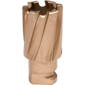 Hougen® RotaLoc™ Carbide Annular Cutter 22mm Dia. x 19mm Depth of Cut 18-17320