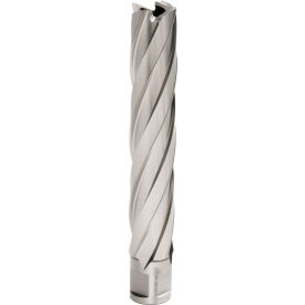 Hougen® 12000-Series Annular Cutter 13/16