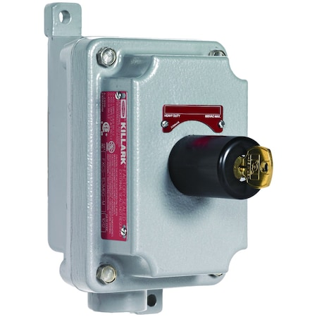 Pos, 2 Key Sel, Swt Maint, 1No/1Nc, 1/2