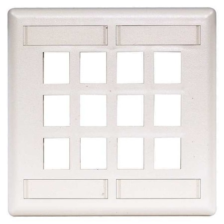 Plate, 12 Ports, White, Flush MPN:IFP212W